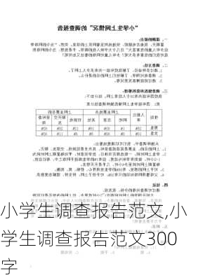 小学生调查报告范文,小学生调查报告范文300字-第1张图片-二喜范文网