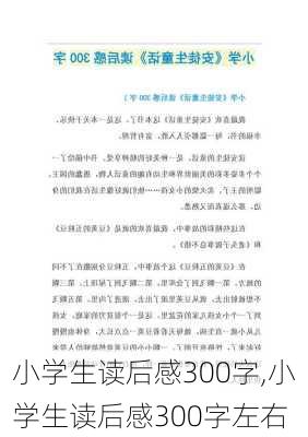 小学生读后感300字,小学生读后感300字左右-第1张图片-二喜范文网