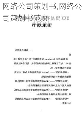 网络公司策划书,网络公司策划书范文-第2张图片-二喜范文网