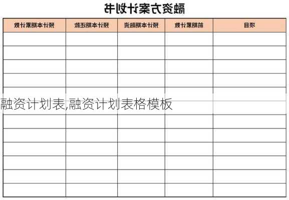 融资计划表,融资计划表格模板-第3张图片-二喜范文网