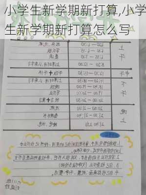 小学生新学期新打算,小学生新学期新打算怎么写-第2张图片-二喜范文网