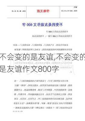 不会变的是友谊,不会变的是友谊作文800字