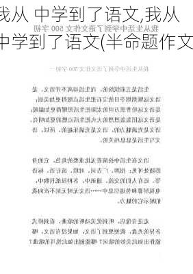 我从 中学到了语文,我从中学到了语文(半命题作文)