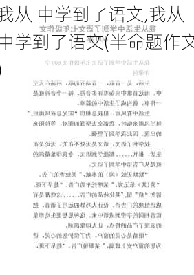 我从 中学到了语文,我从中学到了语文(半命题作文)-第2张图片-二喜范文网