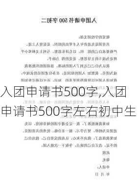 入团申请书500字,入团申请书500字左右初中生-第3张图片-二喜范文网