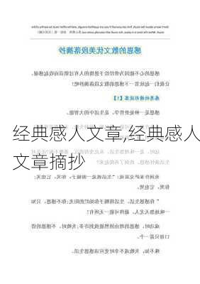 经典感人文章,经典感人文章摘抄-第2张图片-二喜范文网