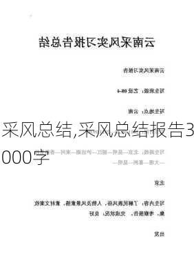 采风总结,采风总结报告3000字-第2张图片-二喜范文网