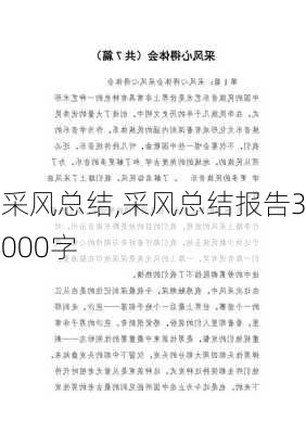 采风总结,采风总结报告3000字-第1张图片-二喜范文网