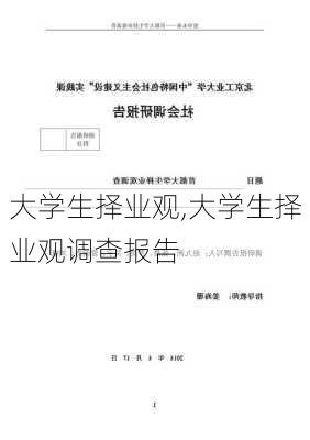 大学生择业观,大学生择业观调查报告-第3张图片-二喜范文网