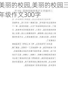 美丽的校园,美丽的校园三年级作文300字-第1张图片-二喜范文网