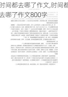 时间都去哪了作文,时间都去哪了作文800字-第2张图片-二喜范文网