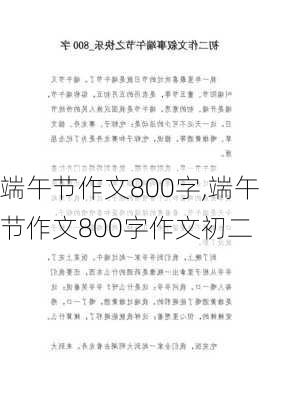 端午节作文800字,端午节作文800字作文初二-第1张图片-二喜范文网