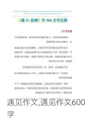 遇见作文,遇见作文600字-第3张图片-二喜范文网