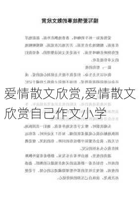 爱情散文欣赏,爱情散文欣赏自己作文小学-第3张图片-二喜范文网