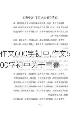 作文600字初中,作文600字初中关于青春-第1张图片-二喜范文网