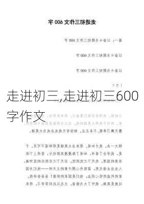 走进初三,走进初三600字作文-第1张图片-二喜范文网