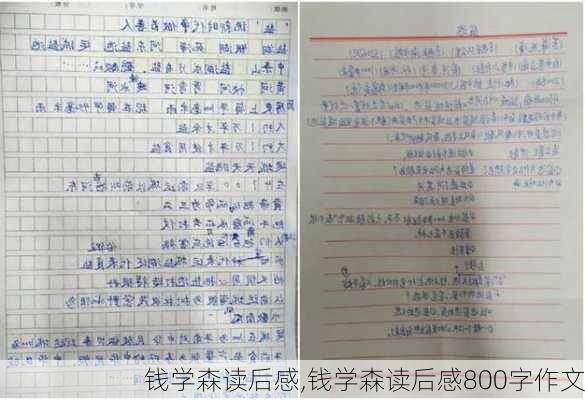 钱学森读后感,钱学森读后感800字作文-第2张图片-二喜范文网