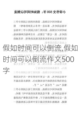 假如时间可以倒流,假如时间可以倒流作文500字-第2张图片-二喜范文网