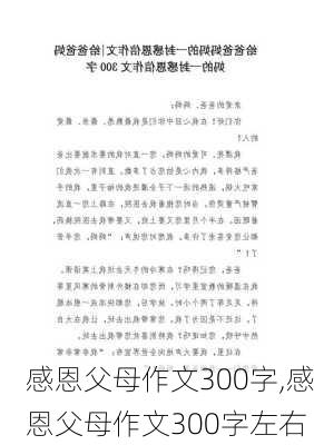 感恩父母作文300字,感恩父母作文300字左右-第3张图片-二喜范文网