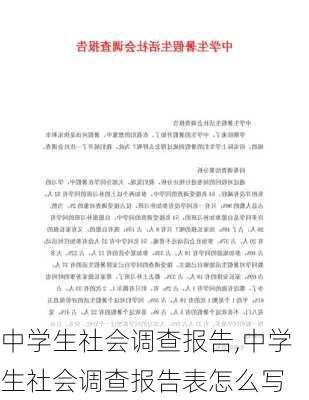 中学生社会调查报告,中学生社会调查报告表怎么写-第1张图片-二喜范文网