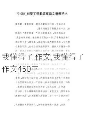 我懂得了 作文,我懂得了作文450字