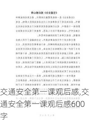 交通安全第一课观后感,交通安全第一课观后感600字-第1张图片-二喜范文网