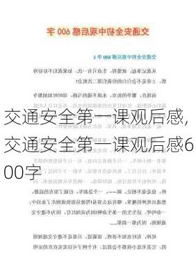 交通安全第一课观后感,交通安全第一课观后感600字-第2张图片-二喜范文网