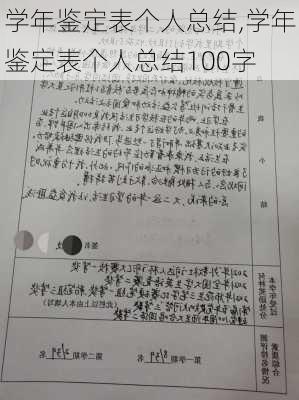 学年鉴定表个人总结,学年鉴定表个人总结100字-第3张图片-二喜范文网