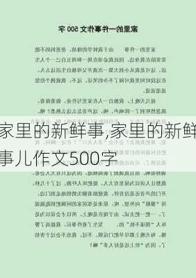 家里的新鲜事,家里的新鲜事儿作文500字-第3张图片-二喜范文网