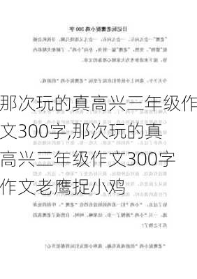 那次玩的真高兴三年级作文300字,那次玩的真高兴三年级作文300字作文老鹰捉小鸡-第2张图片-二喜范文网