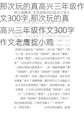 那次玩的真高兴三年级作文300字,那次玩的真高兴三年级作文300字作文老鹰捉小鸡-第1张图片-二喜范文网