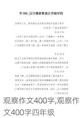 观察作文400字,观察作文400字四年级-第3张图片-二喜范文网