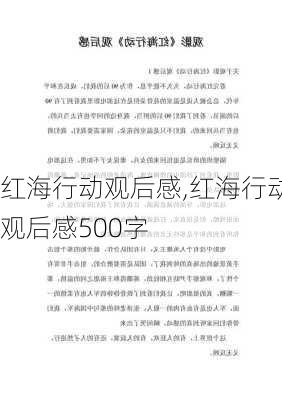 红海行动观后感,红海行动观后感500字-第3张图片-二喜范文网