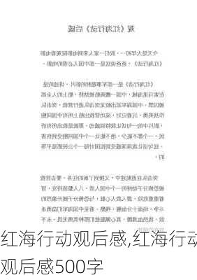 红海行动观后感,红海行动观后感500字-第2张图片-二喜范文网