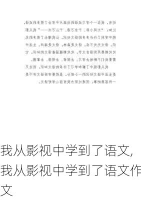 我从影视中学到了语文,我从影视中学到了语文作文-第2张图片-二喜范文网