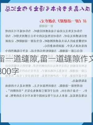 留一道缝隙,留一道缝隙作文800字-第2张图片-二喜范文网