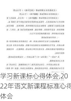 学习新课标心得体会,2022年语文新课程标准心得体会-第3张图片-二喜范文网