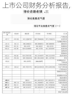 上市公司财务分析报告,-第2张图片-二喜范文网