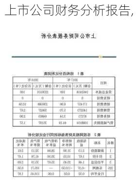 上市公司财务分析报告,