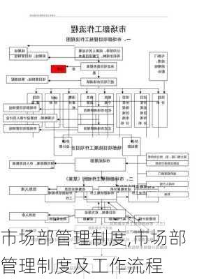 市场部管理制度,市场部管理制度及工作流程-第3张图片-二喜范文网