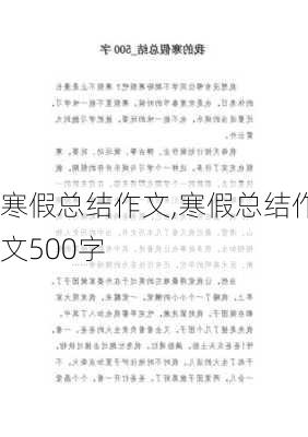 寒假总结作文,寒假总结作文500字-第2张图片-二喜范文网