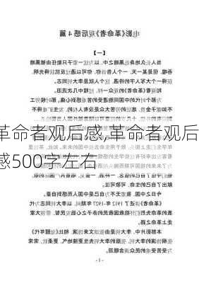 革命者观后感,革命者观后感500字左右-第3张图片-二喜范文网