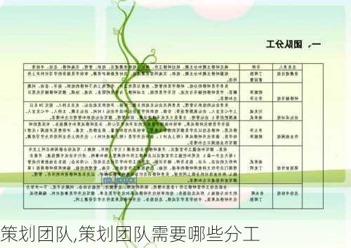 策划团队,策划团队需要哪些分工-第2张图片-二喜范文网