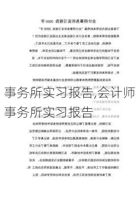 事务所实习报告,会计师事务所实习报告-第1张图片-二喜范文网