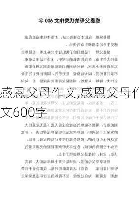 感恩父母作文,感恩父母作文600字-第2张图片-二喜范文网