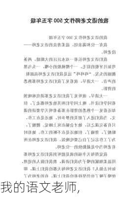 我的语文老师,-第2张图片-二喜范文网