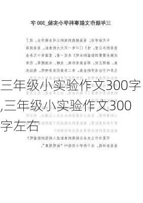 三年级小实验作文300字,三年级小实验作文300字左右