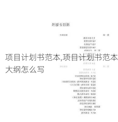 项目计划书范本,项目计划书范本大纲怎么写-第2张图片-二喜范文网