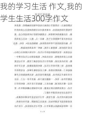 我的学习生活 作文,我的学生生活300字作文-第3张图片-二喜范文网