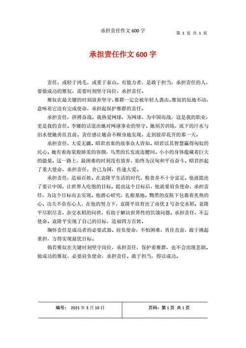 以责任为题的作文,以责任为题的作文600字初中-第2张图片-二喜范文网